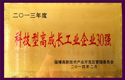 2013年度科技型高成长工业企业30强