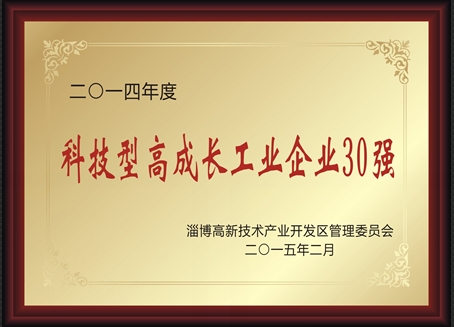 2014年度科技型高成长工业企业30强