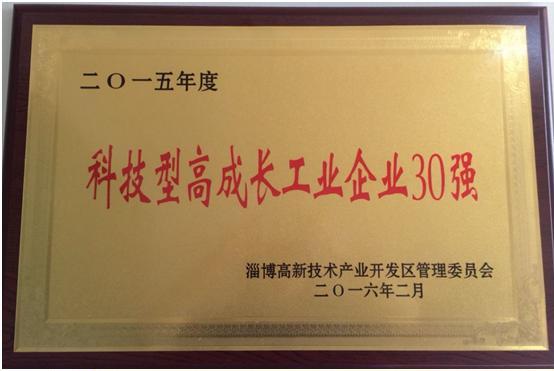 2015年度科技型高成长工业企业30强