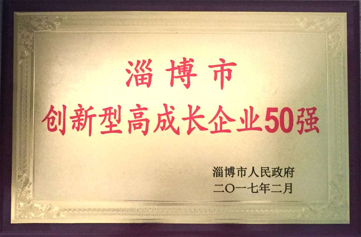 2016年淄博市创新型高成长企业50强